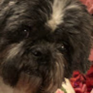 Meet your Posher, Debra